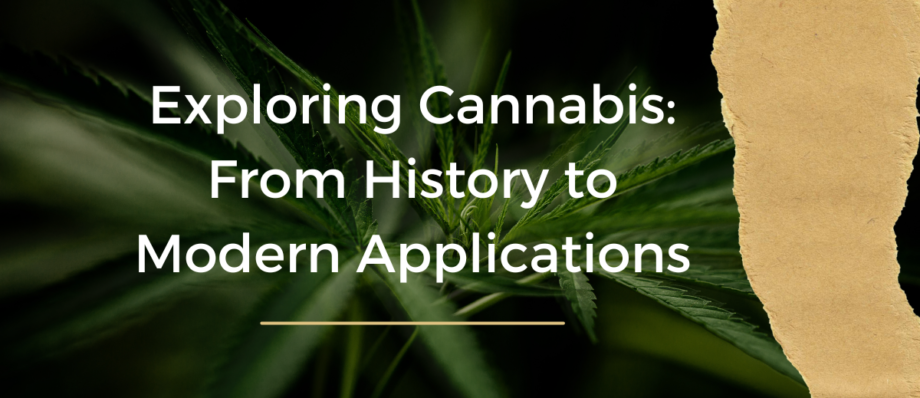Exploring Cannabis From History to Modern Applications