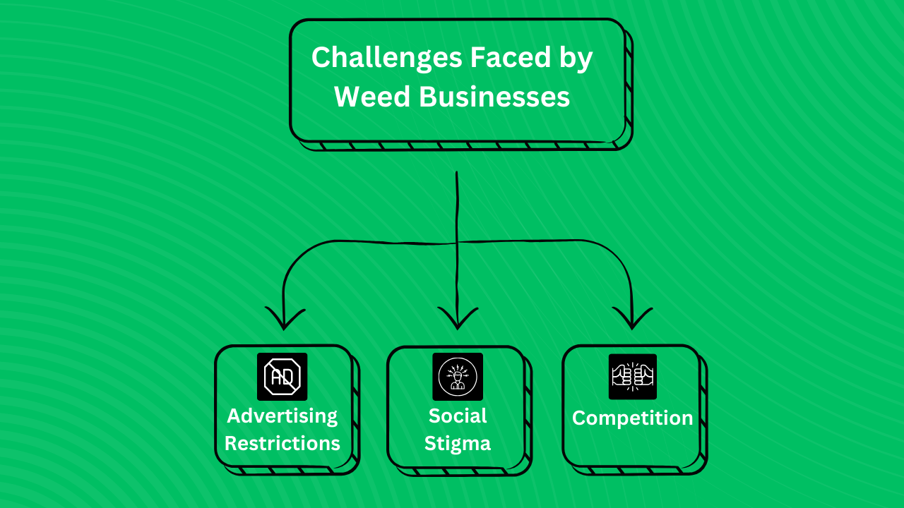 Challenges Faced by Weed Businesses