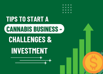 Start a Cannabis Business