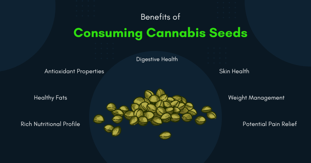 Benefits of Consuming Cannabis Seeds