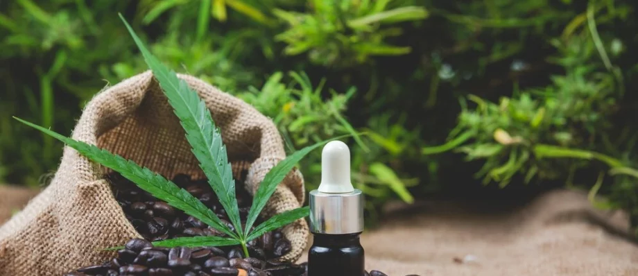 How Cannabis Can Impact Your Mental Health