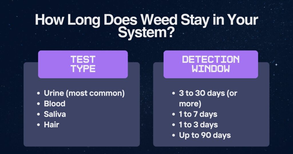 How Long Does Weed Stay in Your System?